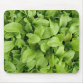 Marigold Seedlings Mousepad Muismat (Voorkant)