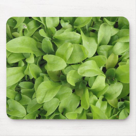 Marigold Seedlings Mousepad Muismat (Voorkant)