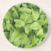 Marigold Seedlings Onderzetters (Voorkant)