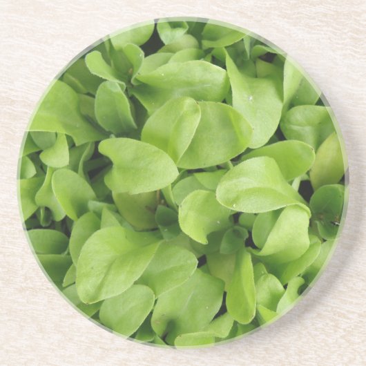 Marigold Seedlings Onderzetters (Voorkant)