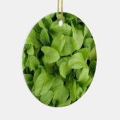 Marigold Seedlings Ornament (Rechts)