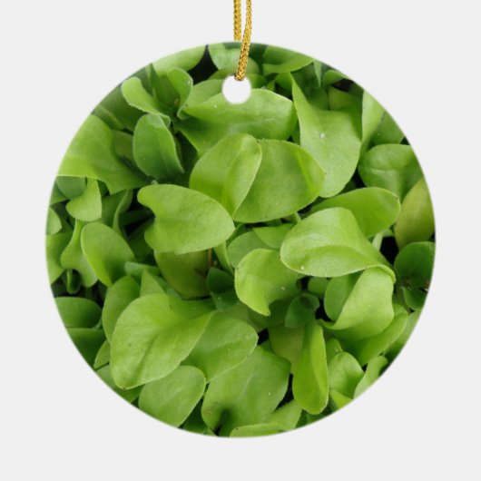 Marigold Seedlings Ornament (Voorkant)