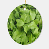 Marigold Seedlings Ornament (Links)