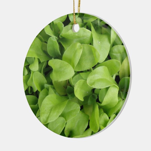 Marigold Seedlings Ornament (Links)