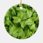 Marigold Seedlings Ornament (Achterkant)