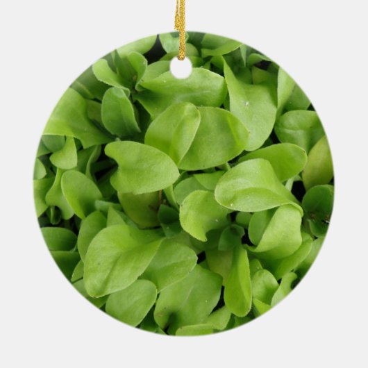 Marigold Seedlings Ornament (Achterkant)