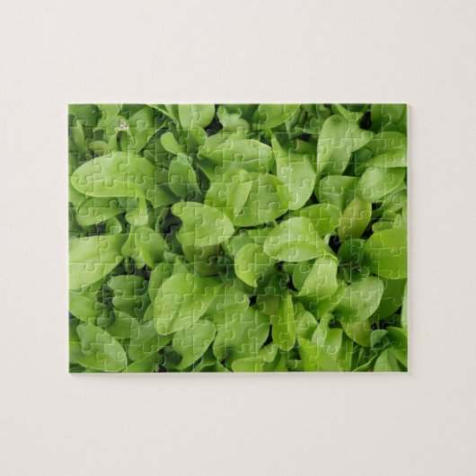 Marigold Seedlings Puzzle Legpuzzel (Horizontaal)