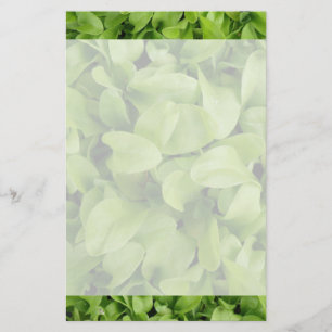 Marigold Seedlings Stationery Briefpapier