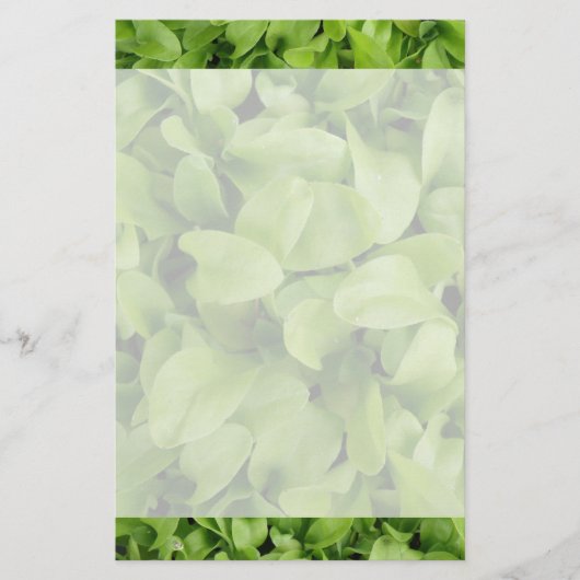 Marigold Seedlings Stationery Briefpapier (Voorkant)