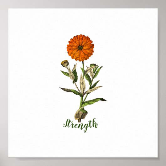 Marigold Sterkte Inspirerend Poster (Voorkant)