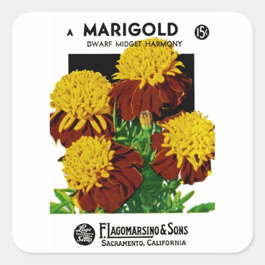 Marigold Vierkante Sticker (Voorkant)