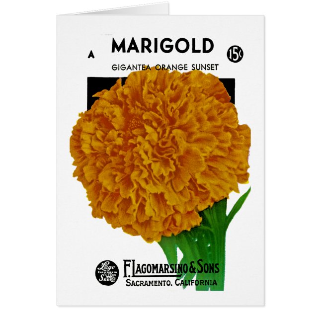 Marigold Vintage Seed Packet (Voorkant)