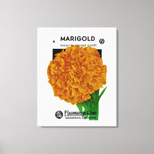 Marigold Vintage Seed Packet Canvas Afdruk