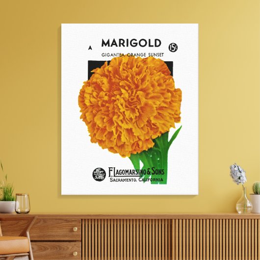 Marigold Vintage Seed Packet Canvas Afdruk (Insitu (Woonkamer))