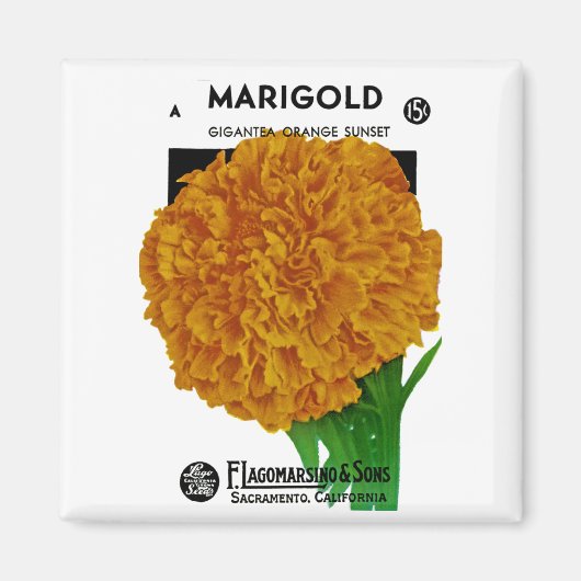 Marigold Vintage Seed Packet Magneet (Voorkant)