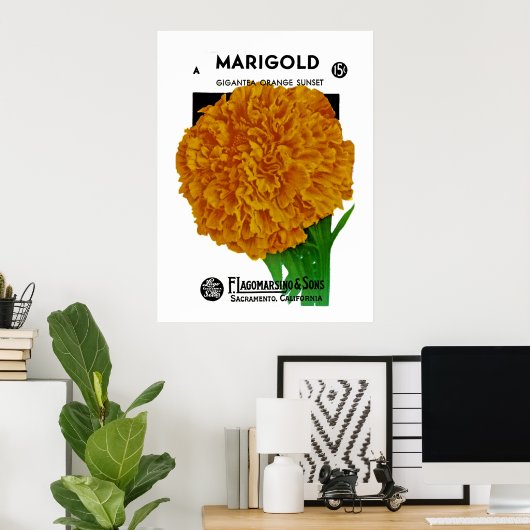 Marigold Vintage Seed Packet Poster (Thuiskantoor)