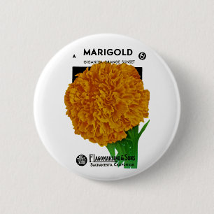 Marigold Vintage Seed Packet Ronde Button 5,7 Cm
