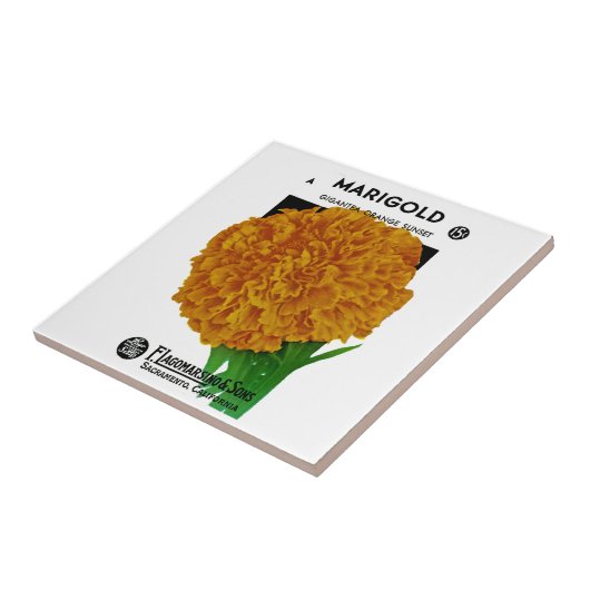 Marigold Vintage Seed Packet Tegeltje (Zijkant)