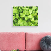 Marigold Zaailingen Canvasprint Canvas Afdruk (Insitu (Woonkamer))