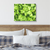 Marigold Zaailingen Canvasprint Canvas Afdruk (Insitu (Slaapkamer))