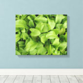 Marigold Zaailingen Canvasprint Canvas Afdruk (Insitu (Houten vloer))