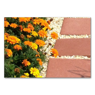 Marigolds Bloemen Patio straatstenen lezen Flashca Kaart