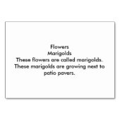 Marigolds Bloemen Patio straatstenen lezen Flashca Kaart (Achterkant)