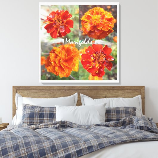 Marigolds Canvas Afdruk (Insitu (Slaapkamer))