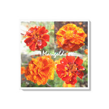Marigolds
