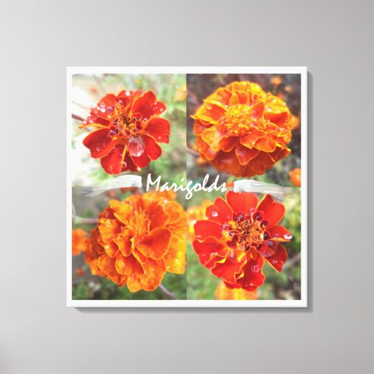 Marigolds Canvas Afdruk (Voorkant)