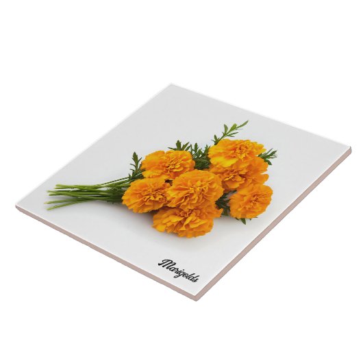Marigolds Tegeltje (Zijkant)