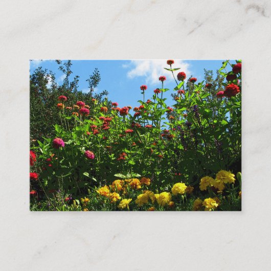 Marigolds, Zinnias en Blue Sky ATC Visitekaartje (Voorkant)