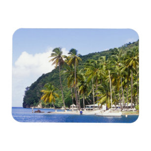 Marigot Bay, St. Lucia, Caribisch gebied Magneet