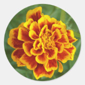 marigoud ronde sticker (Voorkant)