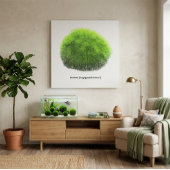 Marimo Mosbal Hand Getekend  Canvas Afdruk