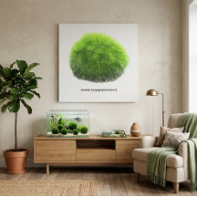 Marimo Mosbal Hand Getekend