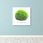 Marimo Moss Ball Hand getekend Canvas Afdruk (Insitu (Houten vloer))