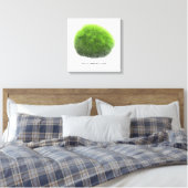 Marimo Moss Ball Hand getekend Canvas Afdruk (Insitu (Slaapkamer))