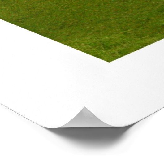 Marin County Poster (Hoek)