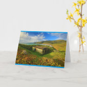 Marin Headlands Kaart (Gele Bloem)