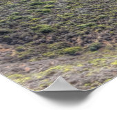 Marin Headlands Poster (Hoek)