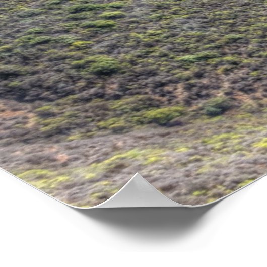 Marin Headlands Poster (Hoek)