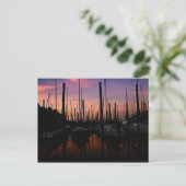 Marina bij zonsondergang briefkaart (Staand voorkant)