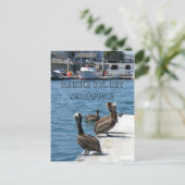 Marina Del Rey Belicans Briefkaart! Briefkaart (Staand voorkant)