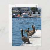Marina Del Rey Belicans Briefkaart! Briefkaart (Voorkant / Achterkant)