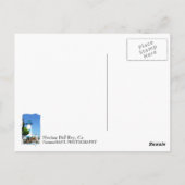 Marina Del Rey Briefkaart! Briefkaart (Achterkant)