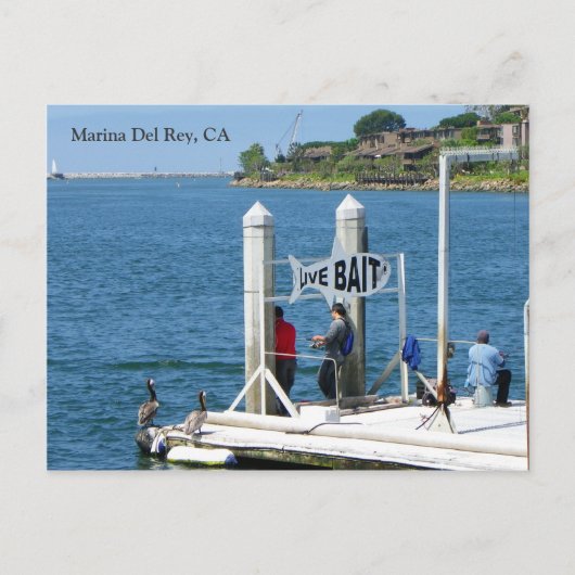 Marina Del Rey Vist Briefkaart! Briefkaart (Voorkant)