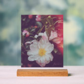 MARINA FILM ART ACRYL BORD (Neutraal)