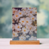 MARINA FILM ART ACRYL BORD (Neutraal)