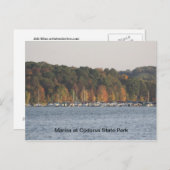 Marina in het staatspark Codorus Briefkaart (Voorkant / Achterkant)
